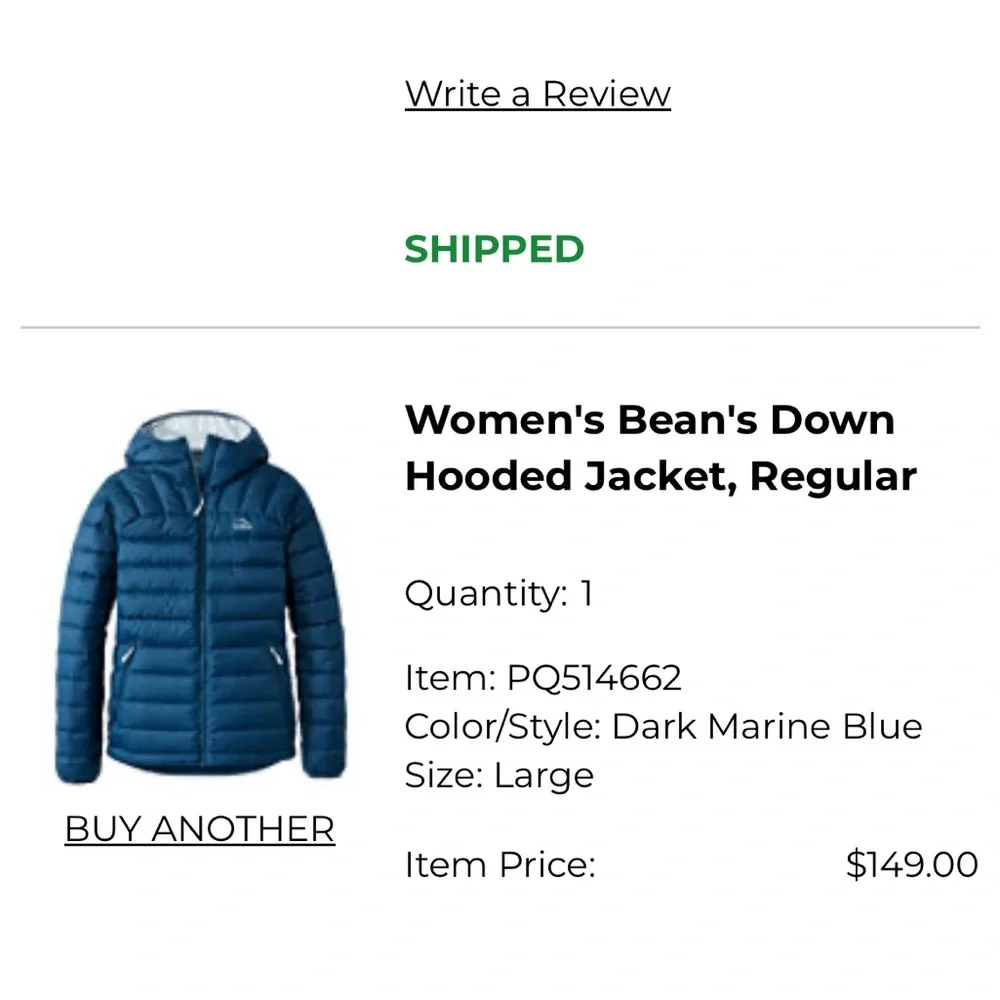 L.L. Bean Blue Puffer Jacket with Hood